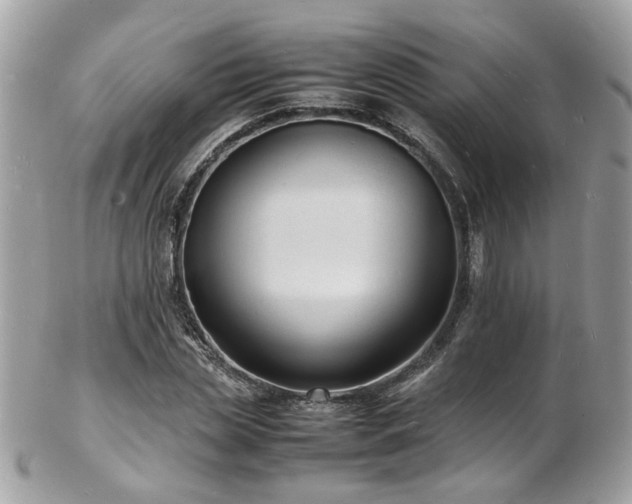 X0000103290829200808291331