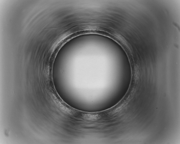 X0000103290831200808291331