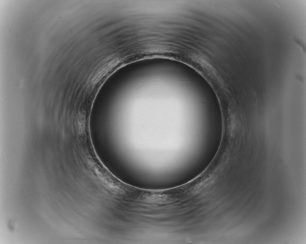 X0000103290833200808291331