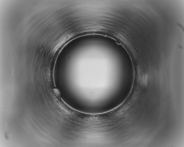 X0000103290834200808291331
