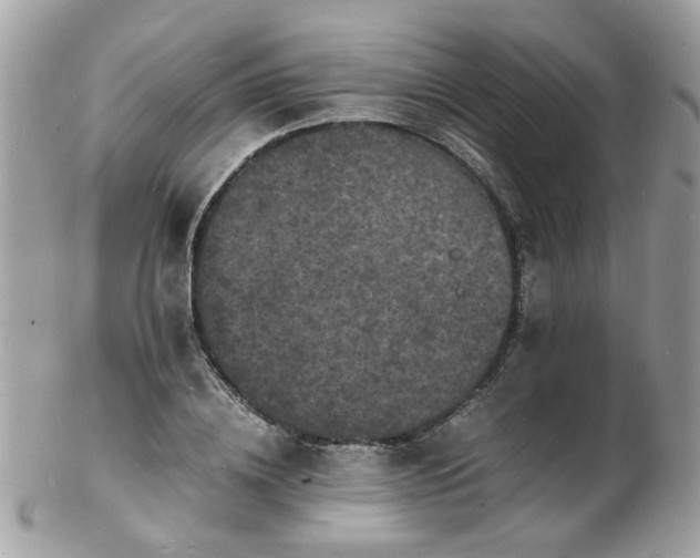 X0000103290836200808291331