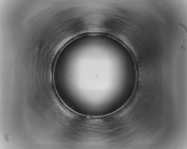 X0000103290837200808291331