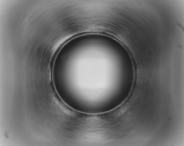 X0000103290838200808291331