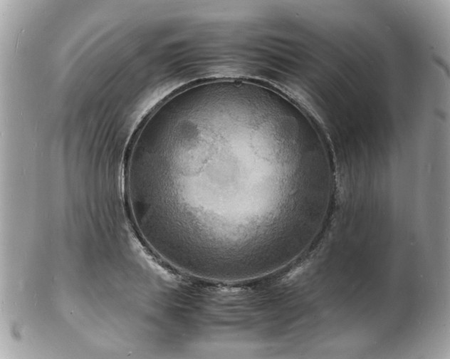 X0000103290839200808291331