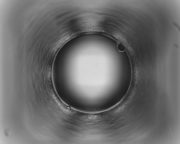 X0000103290841200808291331