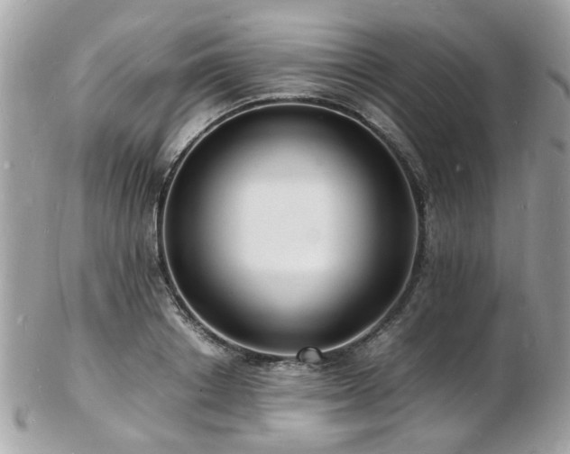 X0000103290842200808291331