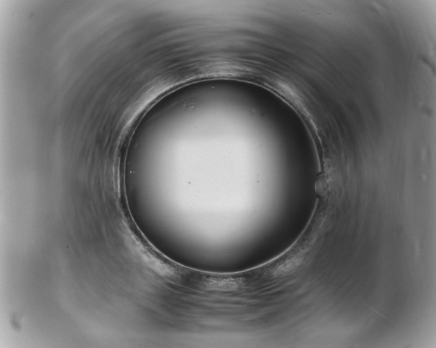 X0000103290843200808291331