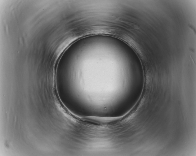 X0000103290844200808291331
