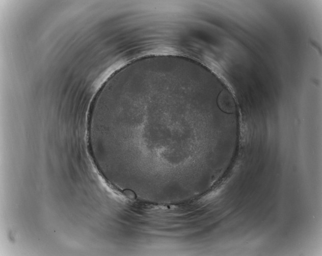 X0000103290845200808291331
