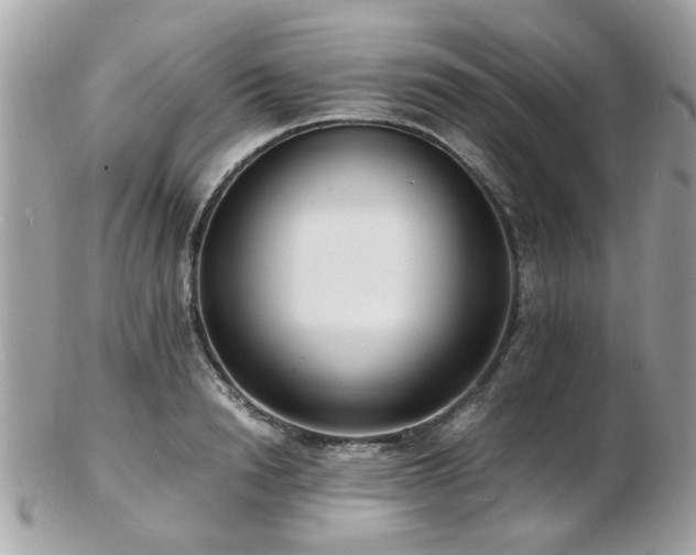 X0000103290846200808291331