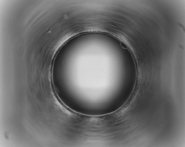X0000103290847200808291332