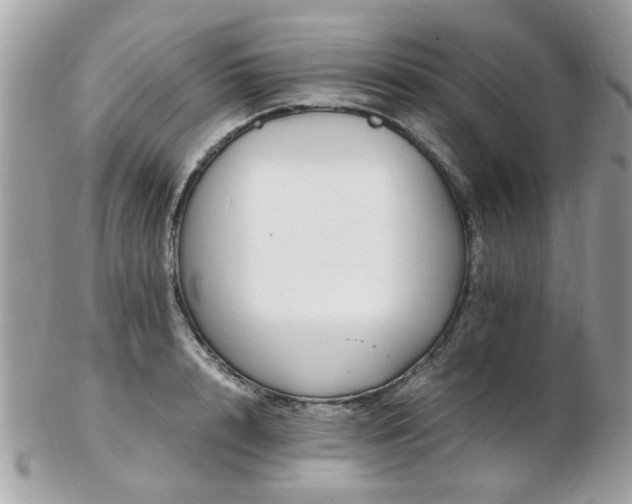 X0000103290848200808291332