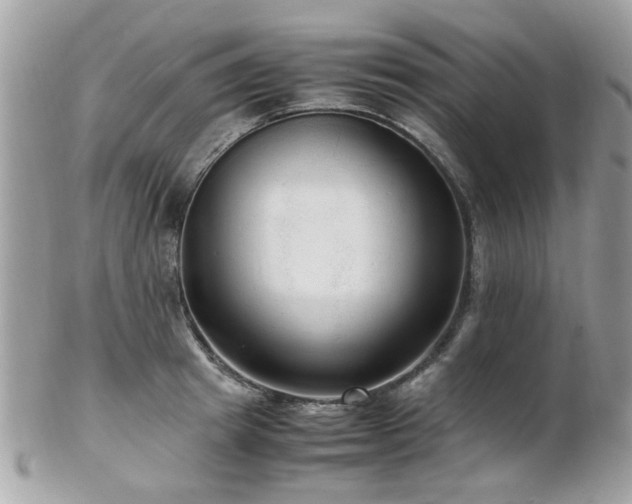 X0000103290849200808291332