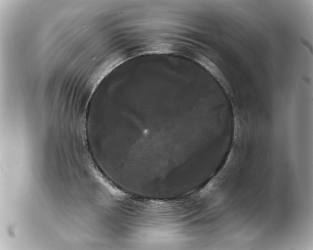 X0000103290850200808291332