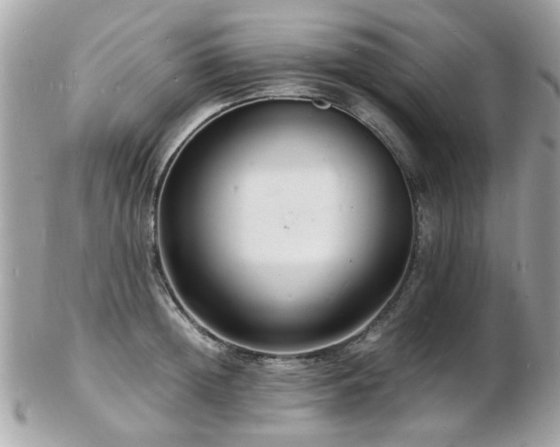 X0000103290852200808291332