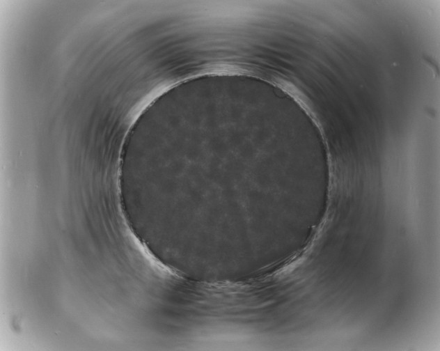 X0000103290853200808291332