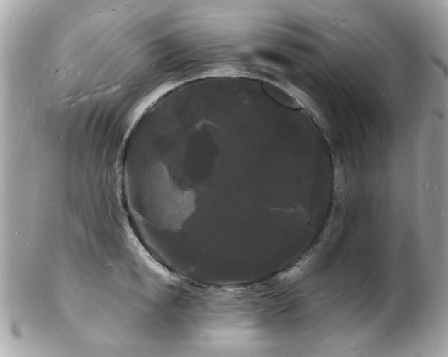 X0000103290854200808291332