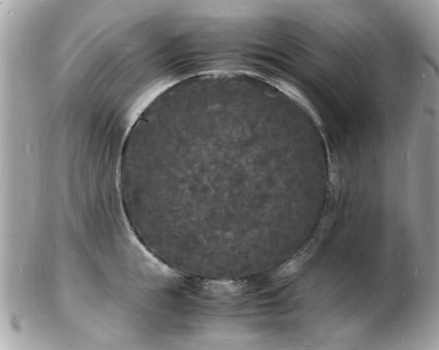 X0000103290855200808291332