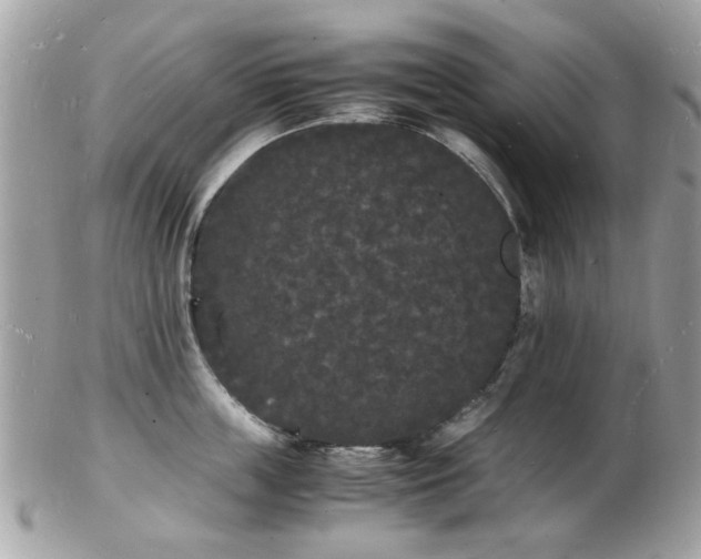 X0000103290859200808291332
