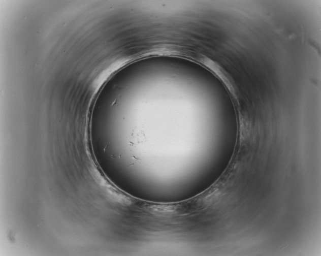 X0000103290861200808291332