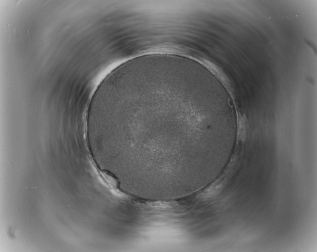 X0000103290862200808291332