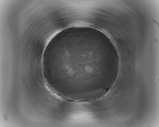 X0000103290864200808291332