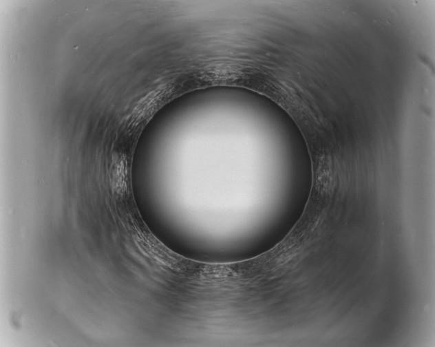 X0000103290866200808291331