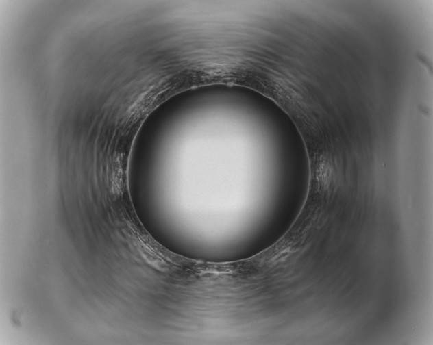 X0000103290868200808291331