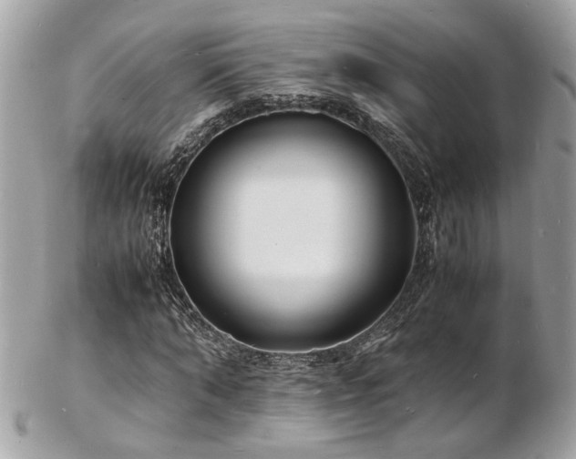 X0000103290870200808291331