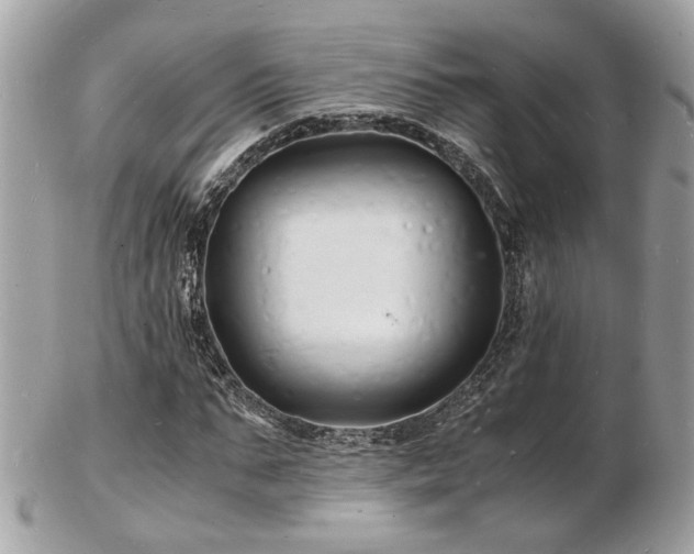 X0000103290871200808291331