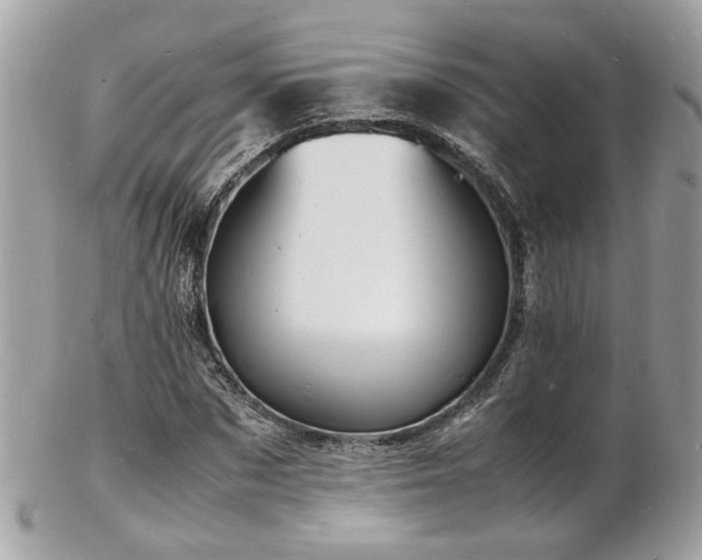 X0000103290873200808291331