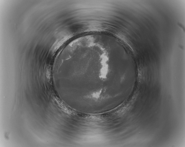 X0000103290874200808291331