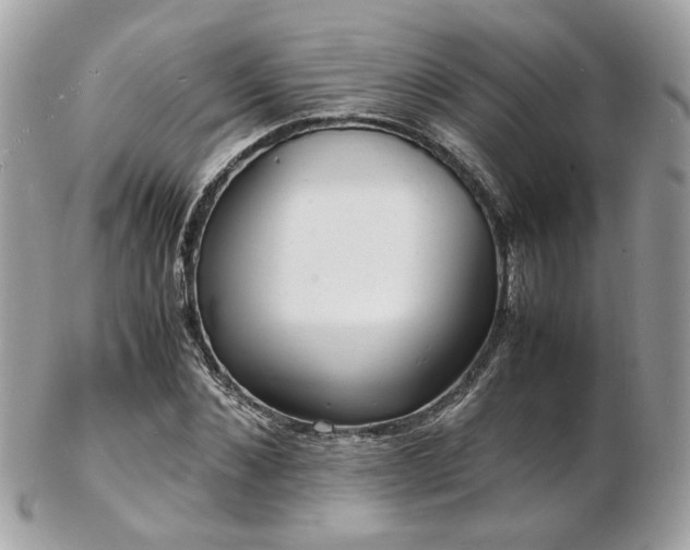 X0000103290876200808291331