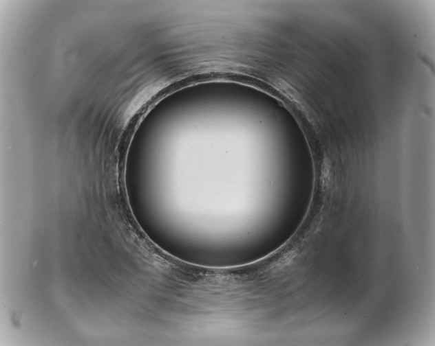 X0000103290877200808291331