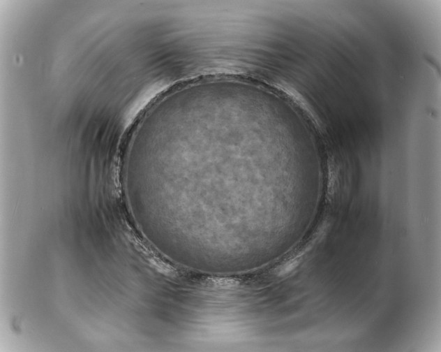 X0000103290878200808291331