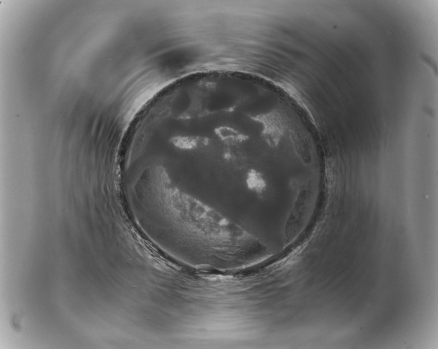 X0000103290879200808291331