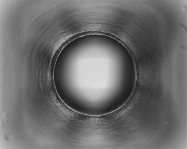 X0000103290880200808291331