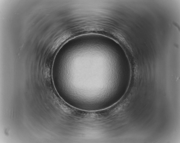 X0000103290881200808291331