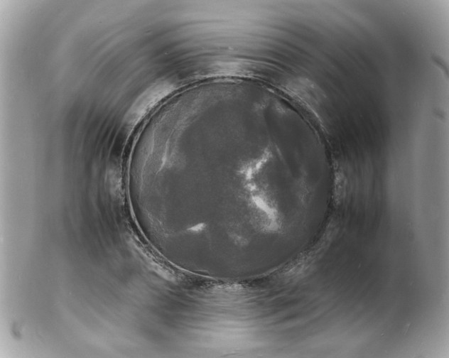 X0000103290882200808291331