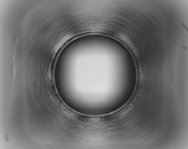 X0000103290883200808291331