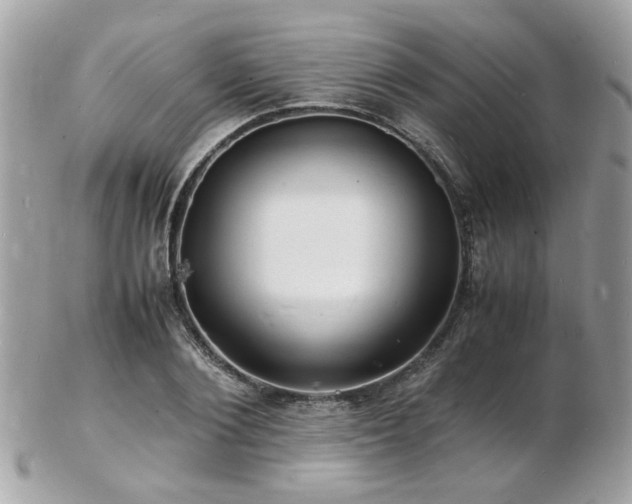 X0000103290884200808291331