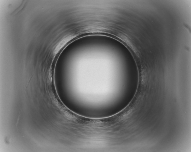X0000103290885200808291331