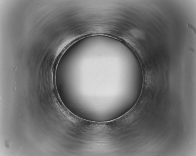 X0000103290886200808291331