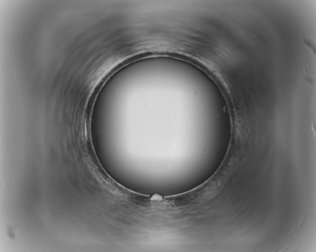 X0000103290887200808291331