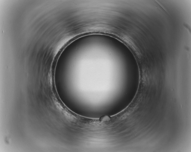 X0000103290888200808291331
