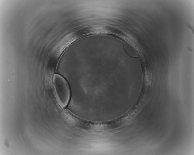 X0000103290889200808291331