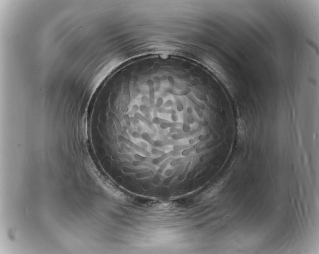 X0000103290891200808291331
