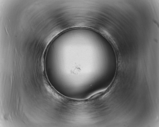 X0000103290892200808291331