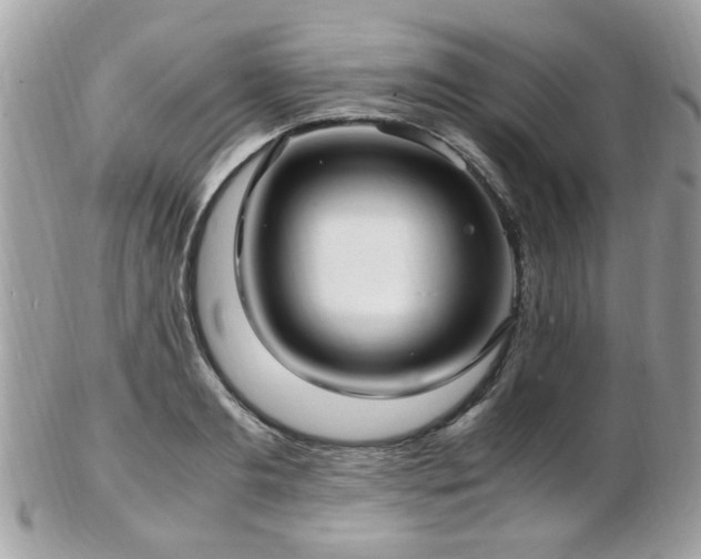 X0000103290893200808291331