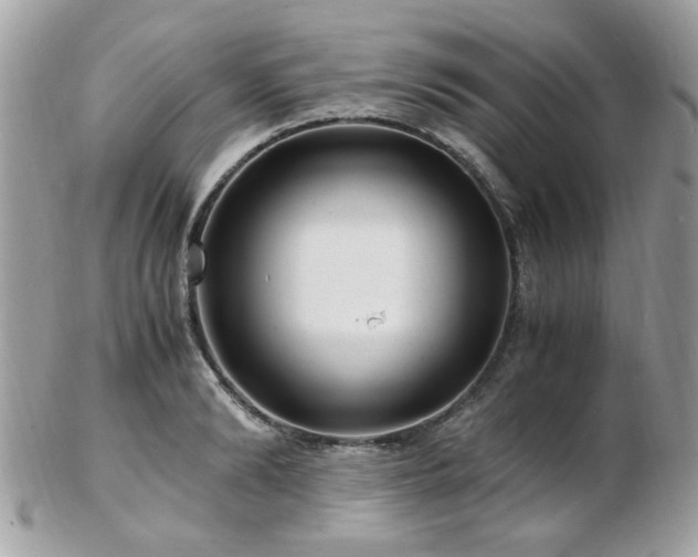X0000103290894200808291331